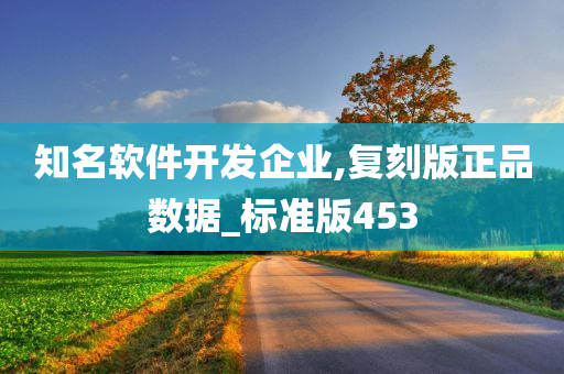 知名软件开发企业,复刻版正品数据_标准版453
