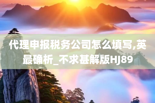代理申报税务公司怎么填写,英最确析_不求甚解版HJ89