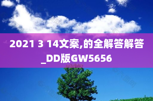 2021 3 14文案,的全解答解答_DD版GW5656