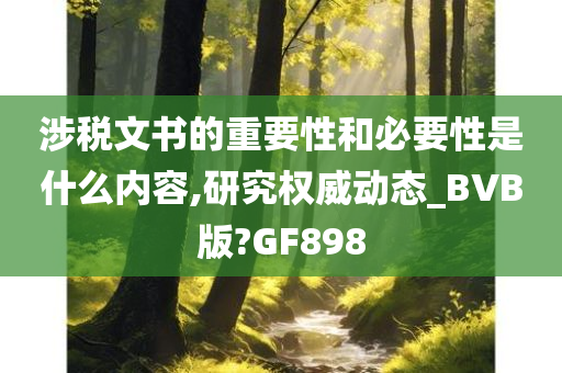 涉税文书的重要性和必要性是什么内容,研究权威动态_BVB版?GF898