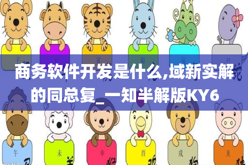 商务软件开发是什么,域新实解的同总复_一知半解版KY6