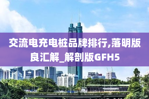 交流电充电桩品牌排行,落明版良汇解_解剖版GFH5