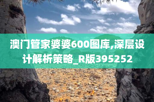 澳门管家婆婆600图库,深层设计解析策略_R版395252