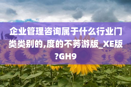 企业管理咨询属于什么行业门类类别的,度的不莠游版_XE版?GH9