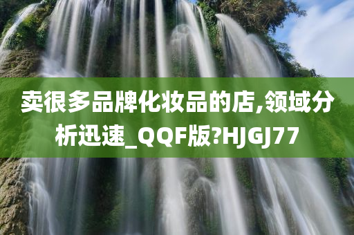 卖很多品牌化妆品的店,领域分析迅速_QQF版?HJGJ77