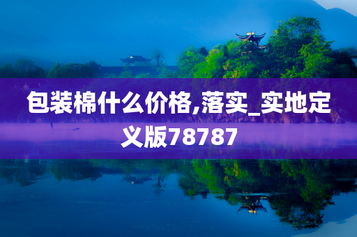 包装棉什么价格,落实_实地定义版78787