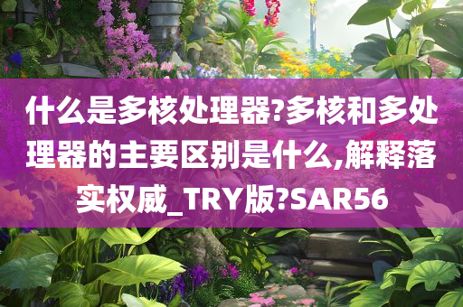 什么是多核处理器?多核和多处理器的主要区别是什么,解释落实权威_TRY版?SAR56
