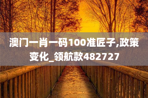 澳门一肖一码100准匠子,政策变化_领航款482727