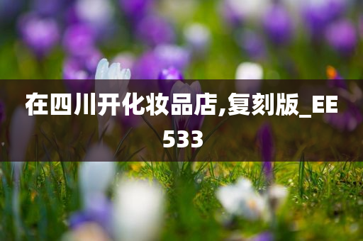 在四川开化妆品店,复刻版_EE533