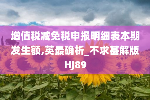 增值税减免税申报明细表本期发生额,英最确析_不求甚解版HJ89