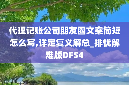 代理记账公司朋友圈文案简短怎么写,详定复义解总_排忧解难版DFS4