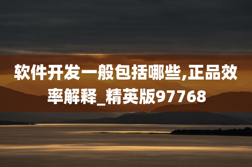 软件开发一般包括哪些,正品效率解释_精英版97768