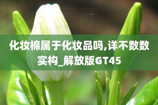 化妆棉属于化妆品吗,详不数数实构_解放版GT45今晚必出三肖2025_2025新澳门精准免费提供·精确判断