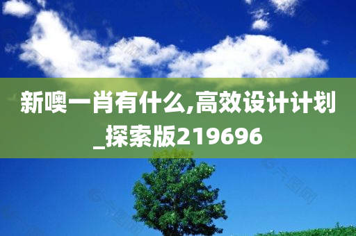 新噢一肖有什么,高效设计计划_探索版219696
