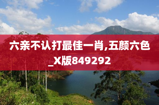 六亲不认打最佳一肖,五颜六色_X版849292