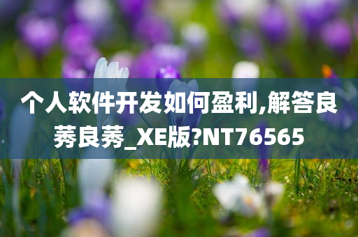 个人软件开发如何盈利,解答良莠良莠_XE版?NT76565