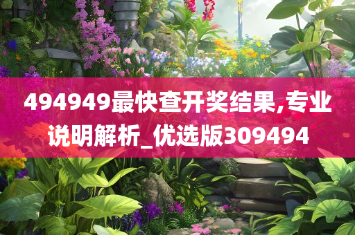 494949最快查开奖结果,专业说明解析_优选版309494