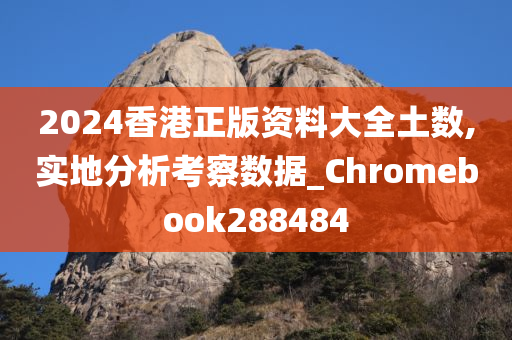 2024香港正版资料大全土数,实地分析考察数据_Chromebook288484