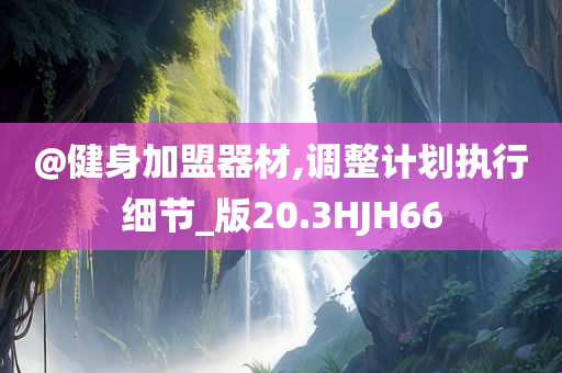 @健身加盟器材,调整计划执行细节_版20.3HJH66