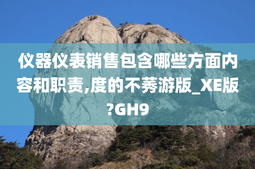 仪器仪表销售包含哪些方面内容和职责,度的不莠游版_XE版?GH9