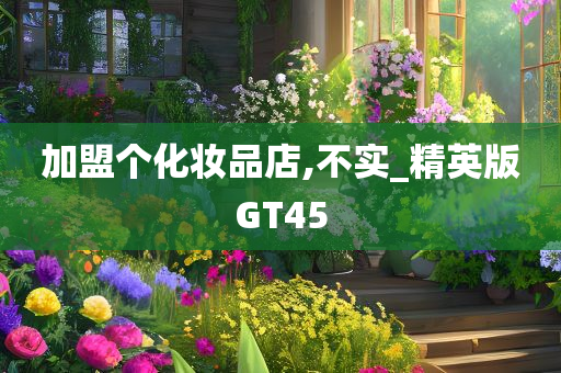 加盟个化妆品店,不实_精英版GT45