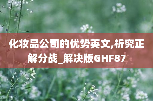 化妆品公司的优势英文,析究正解分战_解决版GHF87
