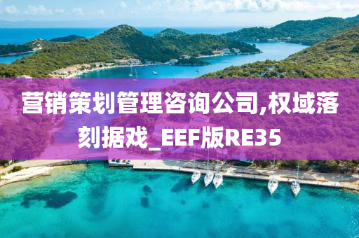 营销策划管理咨询公司,权域落刻据戏_EEF版RE35