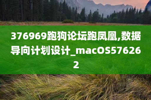 376969跑狗论坛跑凤凰,数据导向计划设计_macOS576262