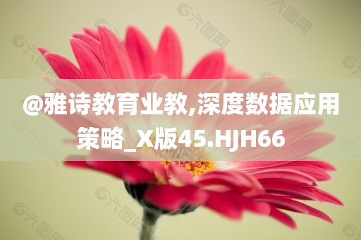 @雅诗教育业教,深度数据应用策略_X版45.HJH66