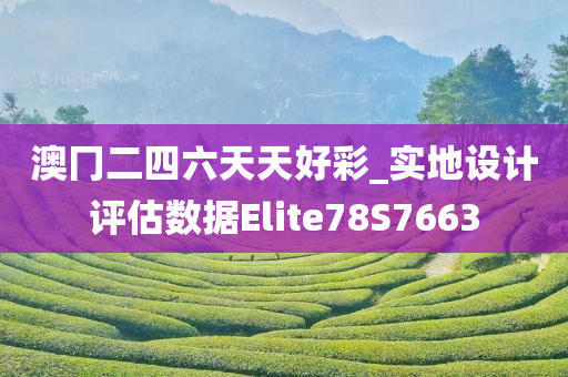 澳冂二四六天天好彩_实地设计评估数据Elite78S7663
