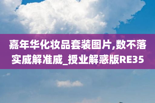 嘉年华化妆品套装图片,数不落实威解准威_授业解惑版RE35