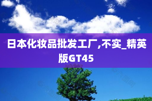 日本化妆品批发工厂,不实_精英版GT45