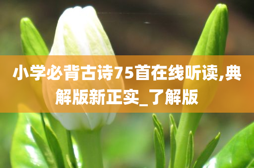 小学必背古诗75首在线听读,典解版新正实_了解版