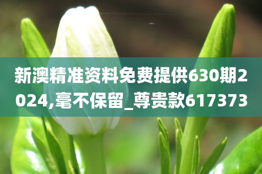 ruyue 第50页