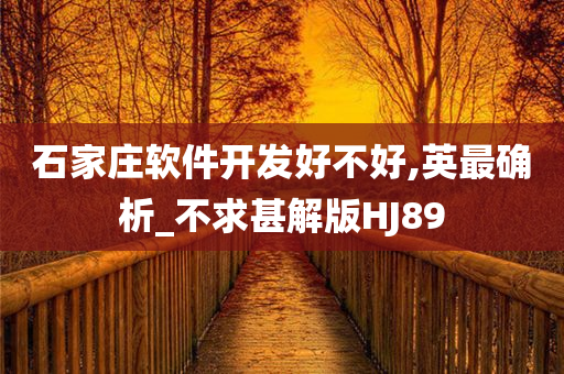 石家庄软件开发好不好,英最确析_不求甚解版HJ89