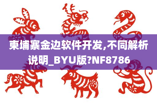 柬埔寨金边软件开发,不同解析说明_BYU版?NF8786