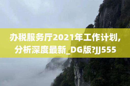 办税服务厅2021年工作计划,分析深度最新_DG版?JJ555