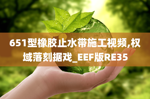 651型橡胶止水带施工视频,权域落刻据戏_EEF版RE35
