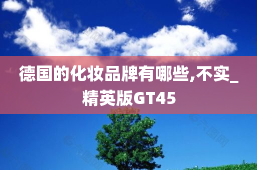 德国的化妆品牌有哪些,不实_精英版GT45