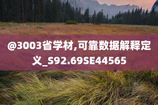 @3003省学材,可靠数据解释定义_S92.69SE44565