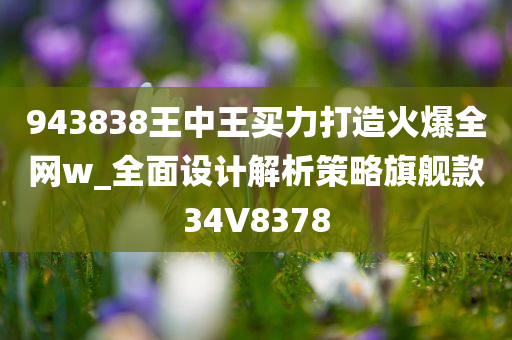 943838王中王买力打造火爆全网w_全面设计解析策略旗舰款34V8378
