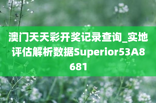 澳门天天彩开奖记录查询_实地评估解析数据Superior53A8681