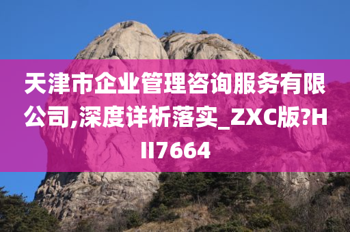 天津市企业管理咨询服务有限公司,深度详析落实_ZXC版?HII7664