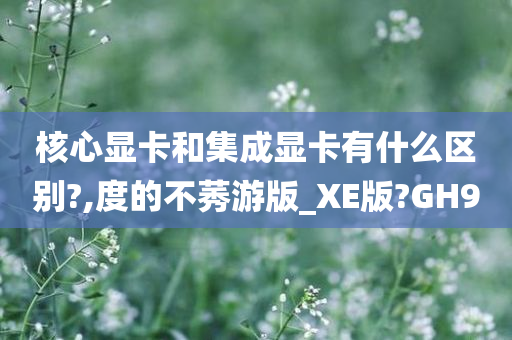 核心显卡和集成显卡有什么区别?,度的不莠游版_XE版?GH9