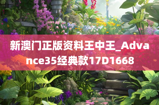 新澳门正版资料王中王_Advance35经典款17D1668
