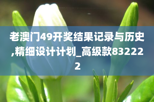老澳门49开奖结果记录与历史,精细设计计划_高级款832222