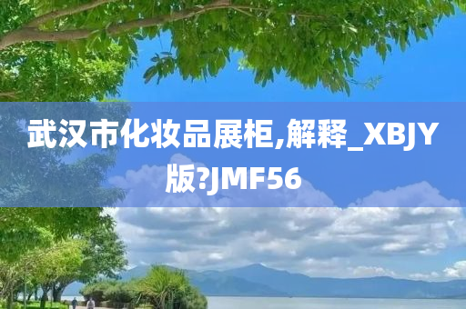 武汉市化妆品展柜,解释_XBJY版?JMF56