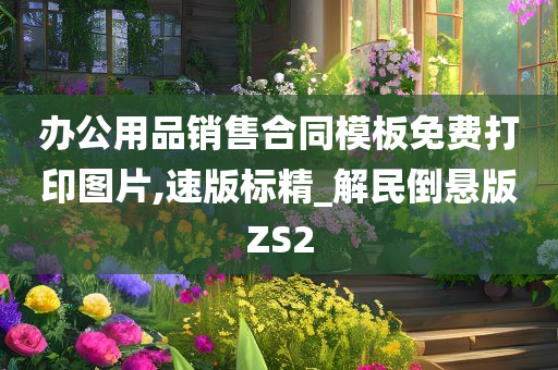 办公用品销售合同模板免费打印图片,速版标精_解民倒悬版ZS2