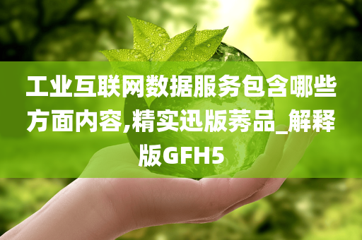 工业互联网数据服务包含哪些方面内容,精实迅版莠品_解释版GFH5