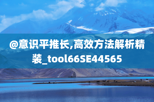 @意识平推长,高效方法解析精装_tool66SE44565